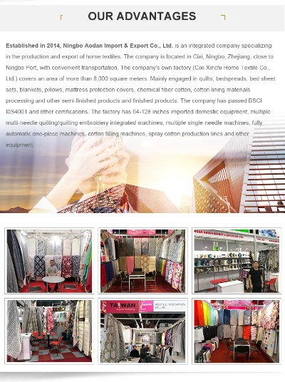 The Dynamics of Red Robe Textiles Co.Ltd.