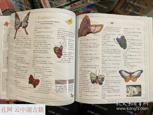 The Evolution of Windbird Textiles:A Journey Through Time and Style