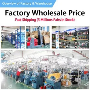 The Struggle of Huaxin Textile Factory:A Case Study in Economic Disruption