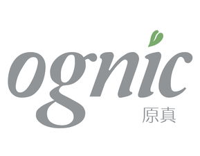 Confidential Textile Services in Zunhua,China Trusted and Professional