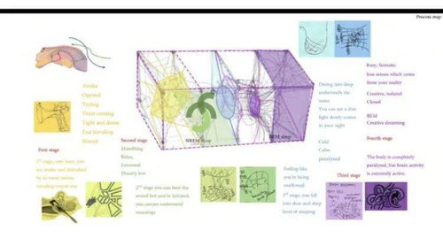 The Composition of Textiles:Fibers and Their Role in the Fashion Industry