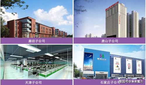 绵阳纺织品公司案例分析