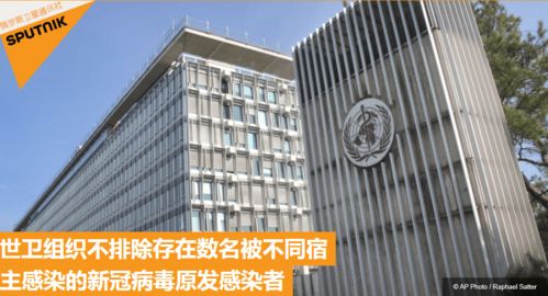 The Upstream Textile Industry Chain