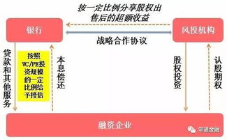 意大利纺织品进口关税，案例分析与关税政策解读