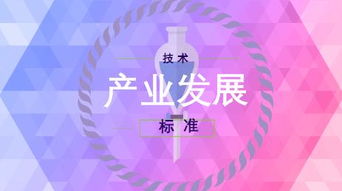 重庆纺织品中的中企动力，行业新动向与案例分析