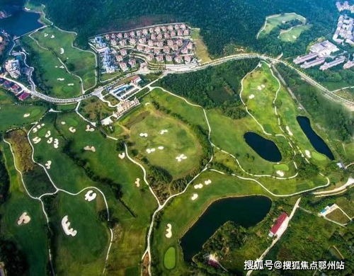 贵州电商纺织品批发价格解析