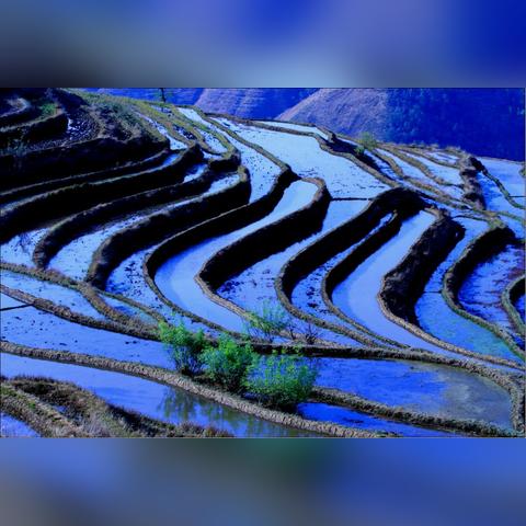 四川纺织品牌介绍大全图片