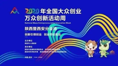 东阳德彩纺织品，品质与创新的融合