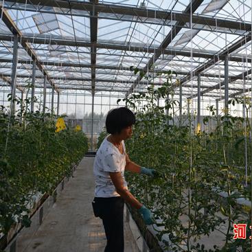 衡水纺织品厂招聘盛会，岗位与人才的双重盛宴