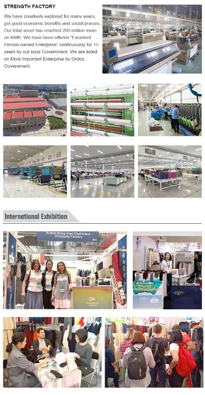 The Textile Factory in Xian:A Visual Introduction and Case Studies