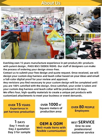 The Essentials for a Successful New Textile Factory