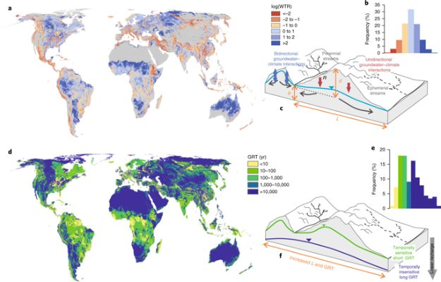 The Dynamic Landscape of Western Textiles:A Global Perspective