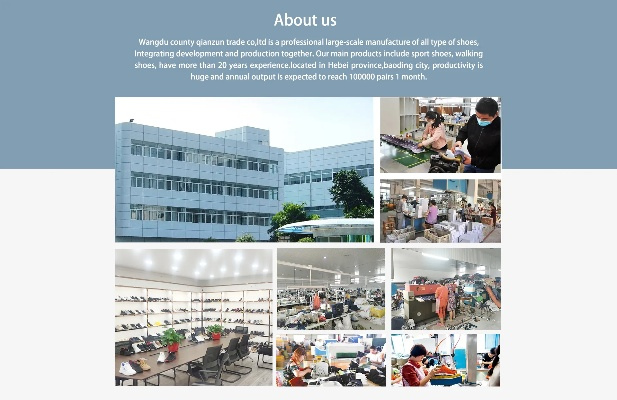 The Dynamics of Deqing Wanshu Textiles Co.Ltd.