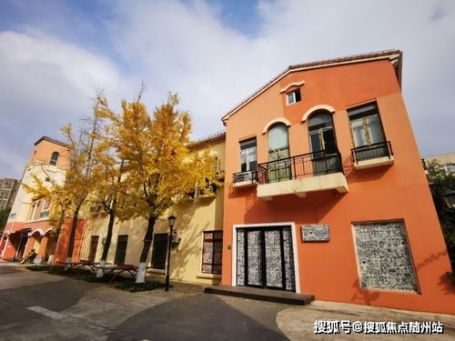 上海昂贵纺织品分类与案例分析