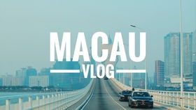 Guide to the Yangpu District Home Textile Wholesale Market