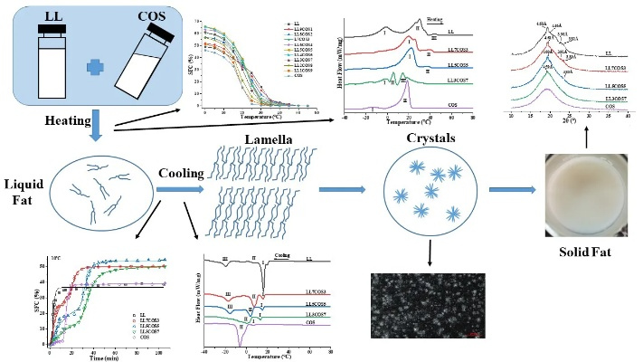 Thermal Performance of Textile Materials:A Comprehensive Analysis