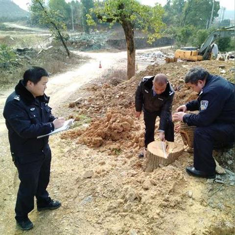 纺织厂条例解读与案例分析