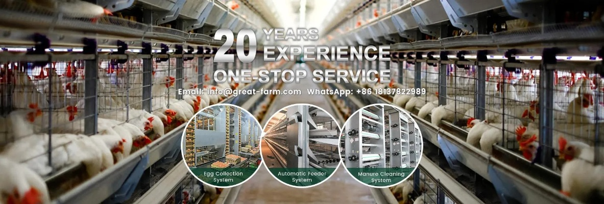 The Transformative Journey of Xian and Zhengzhou Textile Mills