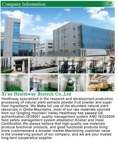 Exploring the Innovation and Quality in Nanjing Pinxuan Textiles Factory