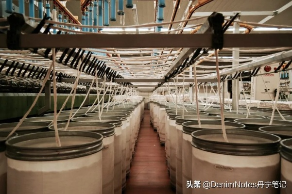 永善纺织厂，传统工艺与现代发展的完美融合