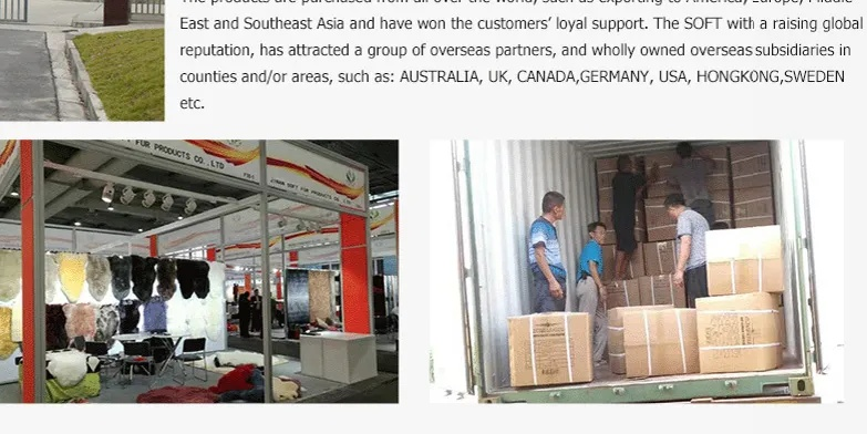 The Fabric of Success:An Insight into Nanjing Xinqi Year Textiles Co.Ltd.