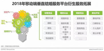 杭州临安针纺织品批发市场的探索与案例分析