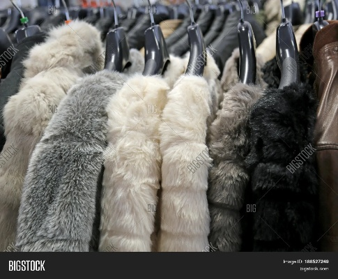 The Majestic Journey of the Giant Eagles Fur Textiles