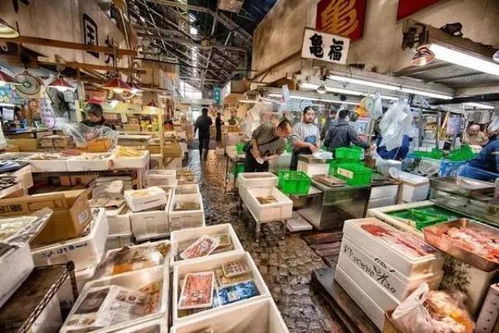 四川纺织品颜料批发市场概览