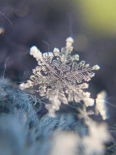 The Beauty of Textile Manufacturing:A Tale of Wind,Flower,and Snow