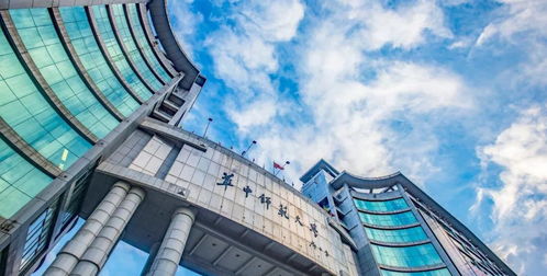 南通卡斯木纺织品，探索其独特魅力与市场前景