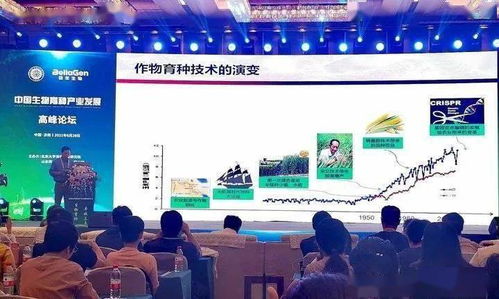 CTW纺织品标准与实际应用案例分析