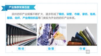滨州纺织品公司案例分析