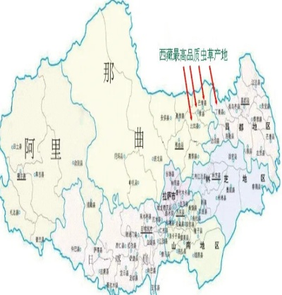 高原县纺织品批发市场的地理位置与特色