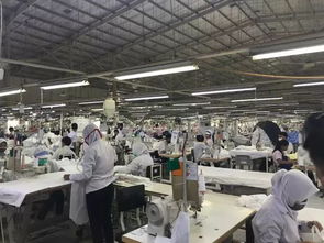 进口针纺织品设备批发市场概览