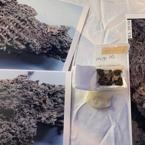 河南标准纺织品批发价格解析