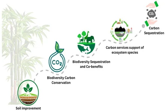 Characteristics of Ecological Textiles