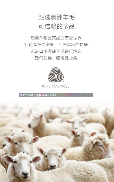 澳洲羊毛纺织品牌排行介绍