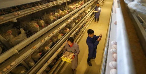 玉儿纺织品批发市场的地理位置与特色
