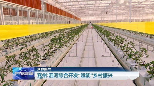 青河纺织厂，绿色制造的辉煌篇章