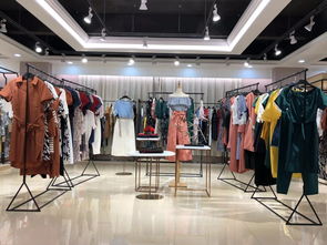 辽宁纺织品牌女装进货价分析