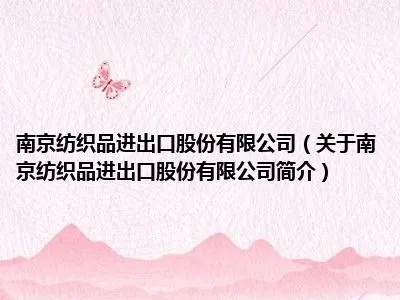 南京进口针纺织品批发市场概览