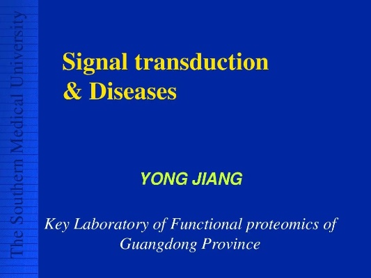The Dynamics of Jiangyin Xinli Textiles A Global Perspective
