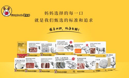 纺织品牌转型方案设计英文口语化指南
