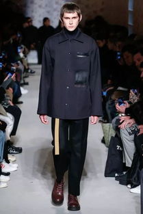 The Silk and Suit of the清朝服饰与纺织品