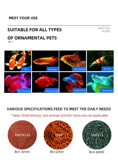The Beauty of Fish-Derived Textiles
