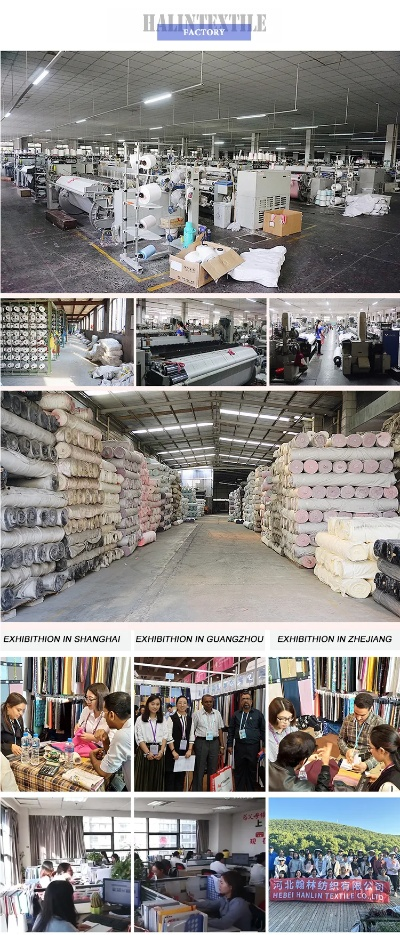 Lingnan Textile Logistics Express Company