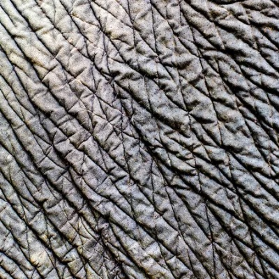 Exploring the Elephant Skin Silk Textiles
