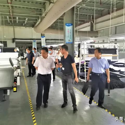 浙江纺织品知名品牌数量分析
