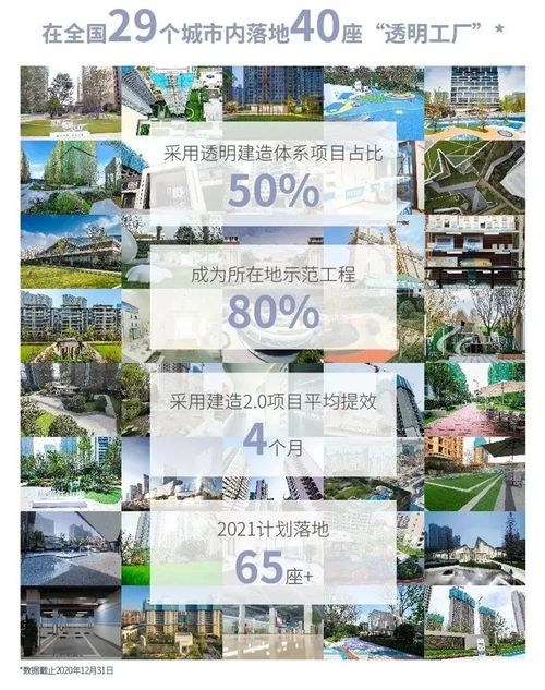 曹妃甸纺织厂，绿色发展的典范