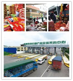 徐州戏马台纺织品批发市场的探索与案例分析